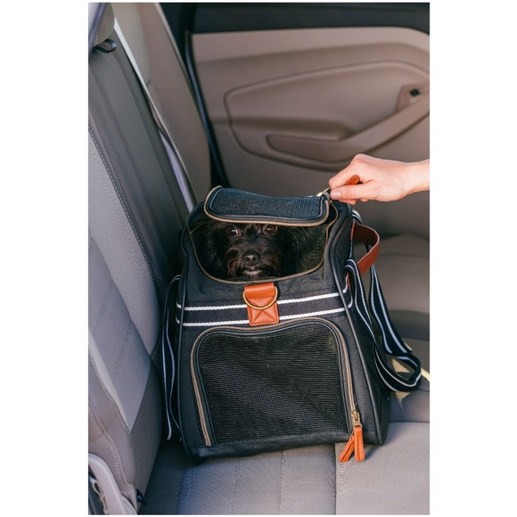 Vibrant Life Pet travel carrier - Picture 4 of 11